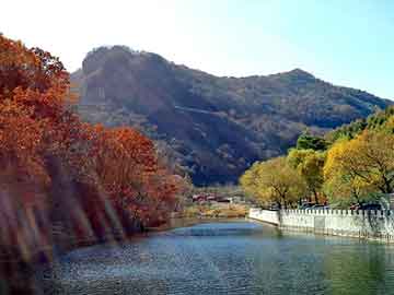 新澳天天开奖资料大全旅游团，黄江焯越汽贸服务至上